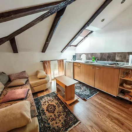 Apartment Damir